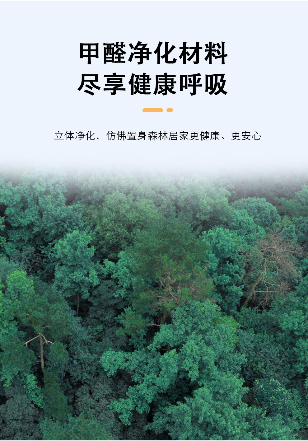 巖片漆